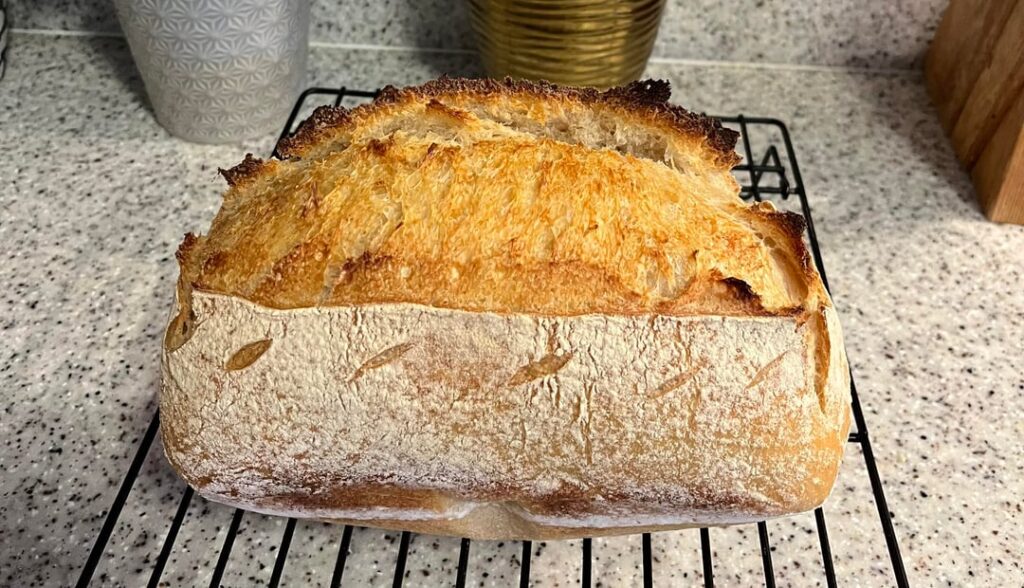 My first bread pan loaf