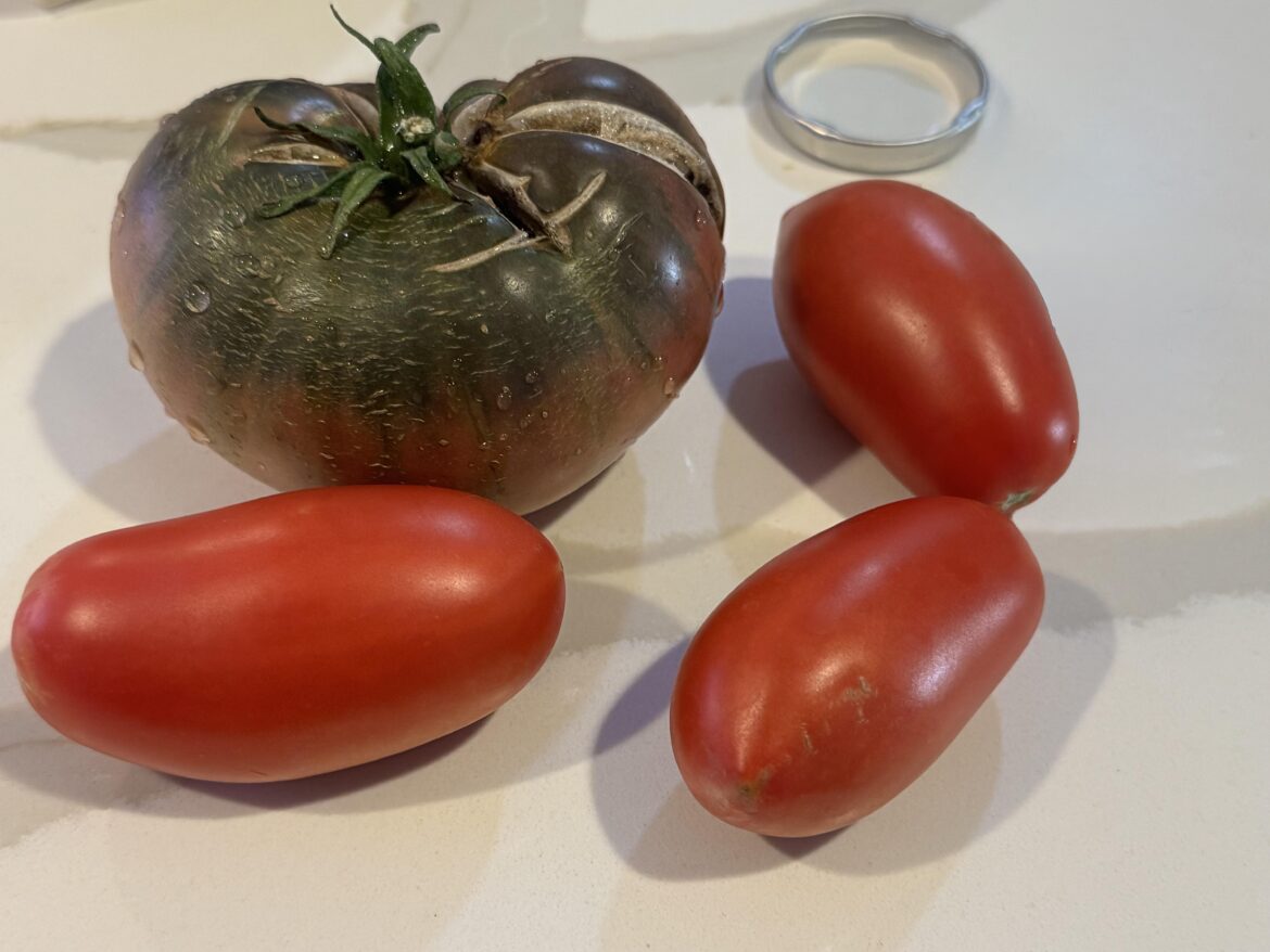 Second Season Success