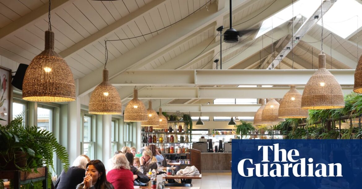 Tin Roof Cafe, Maldon, Essex: ‘Come for topsoil, stay for the shortbread’ – review | Food