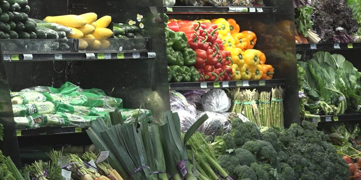 Local doctor reacts to the new food pyramid guidelines