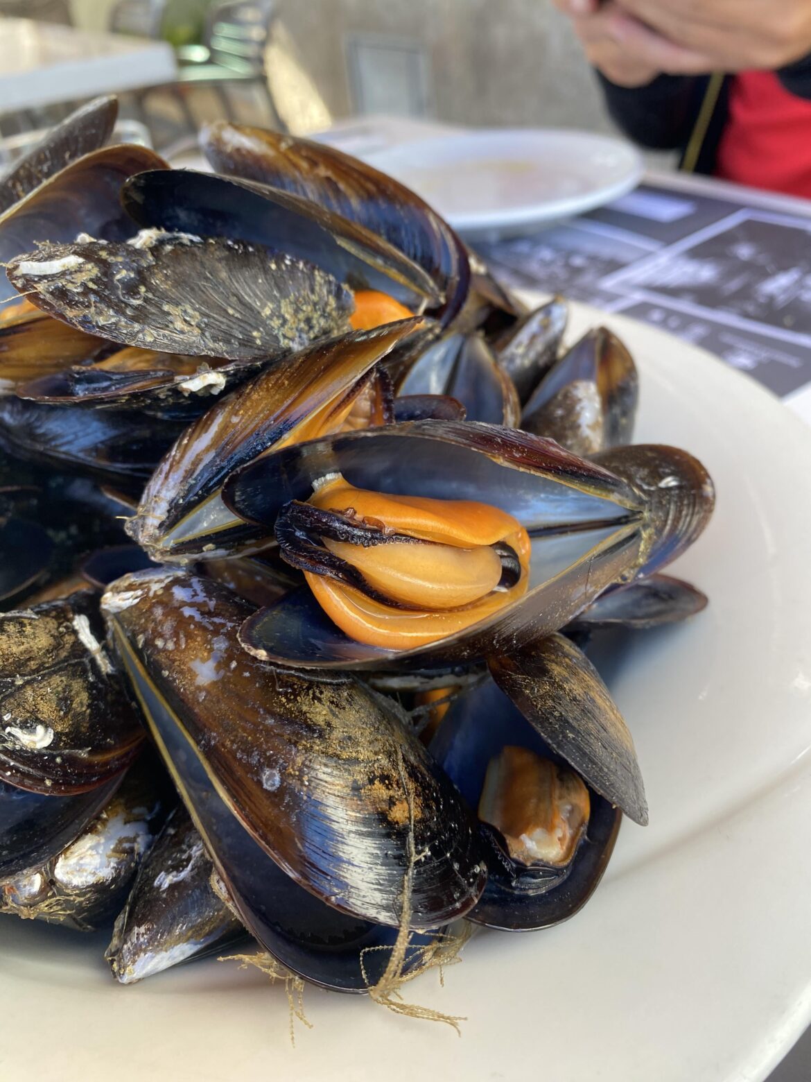 Enormous mussels (Costa Brava, Spain)