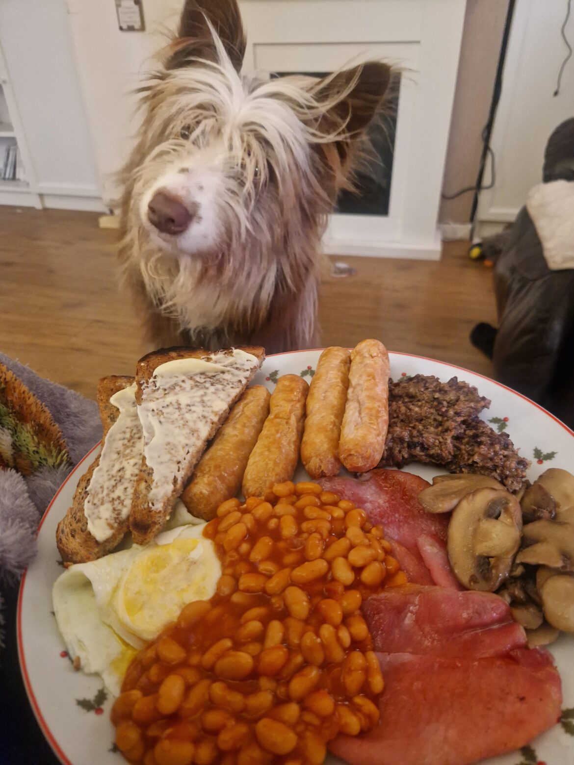 she wants some toast