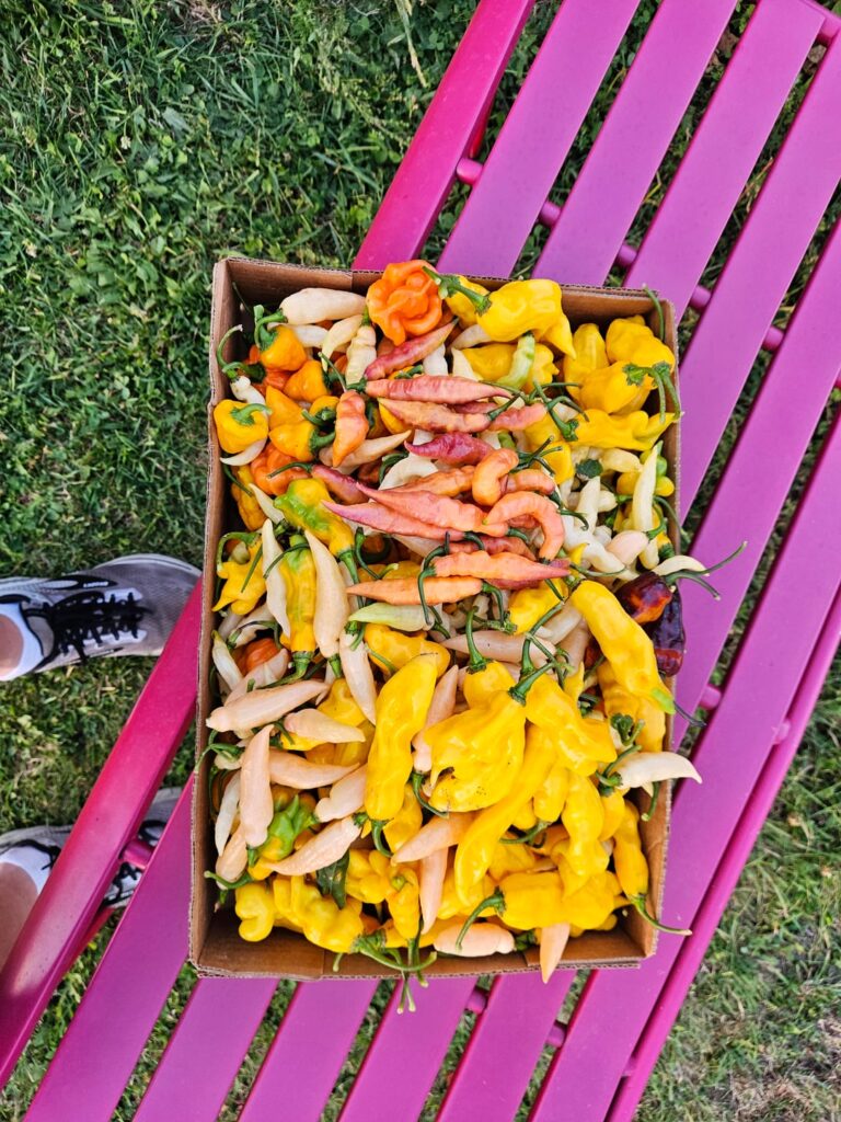 Who else can't wait to grow peppers!