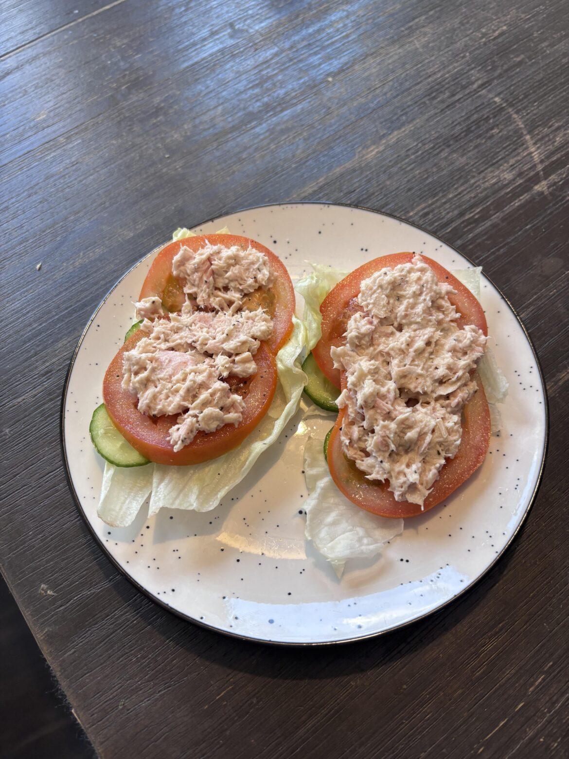 on a diet so im cutting out carbs, but this was the wettest sandwich i have ever eaten