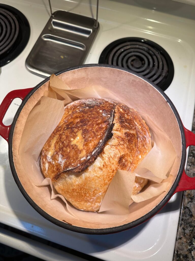 First time lowering the hydration and cooking temp no