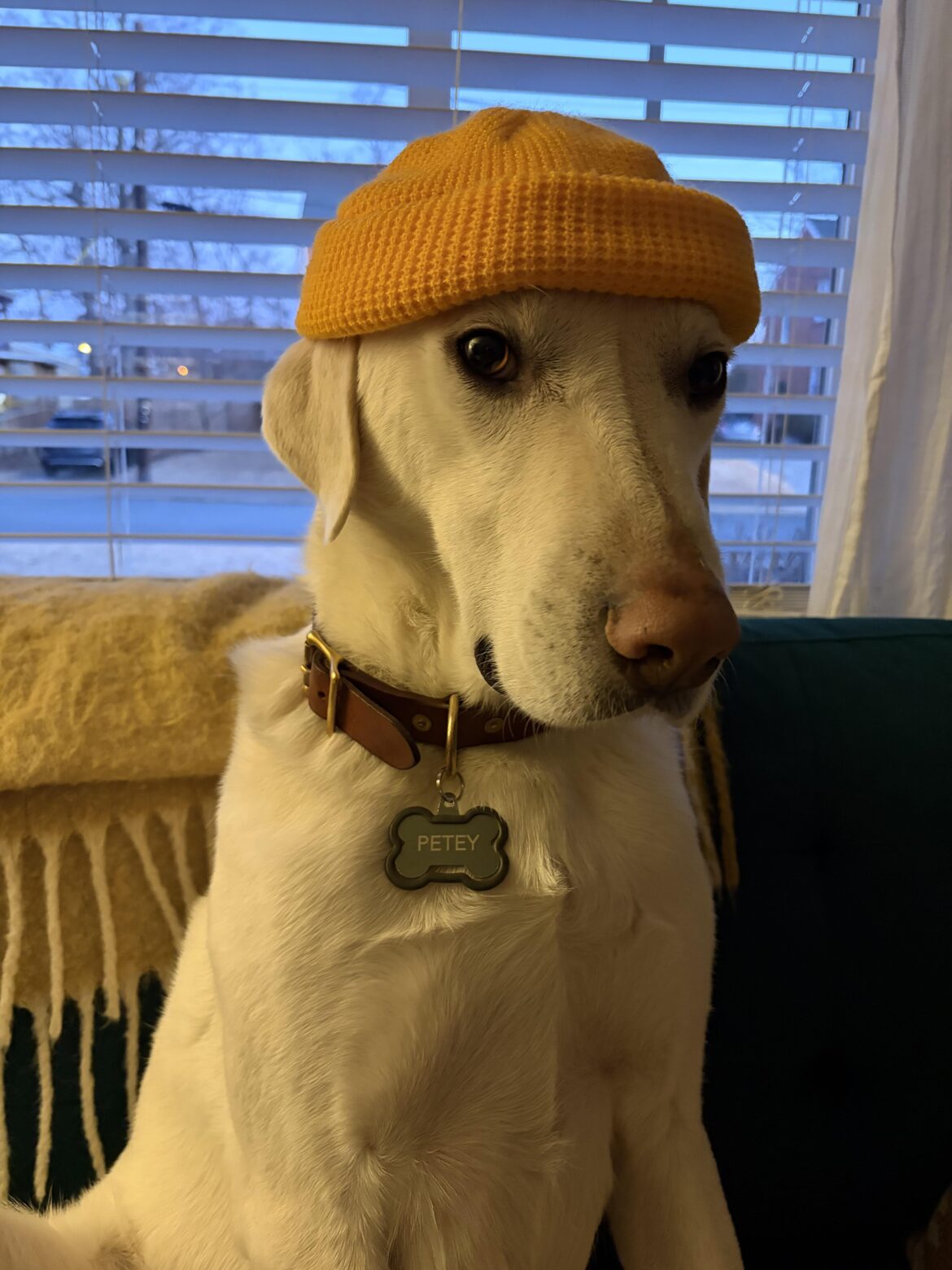 He’s interviewing at a hip cafe in the downtown area of where we live… will he get the job??