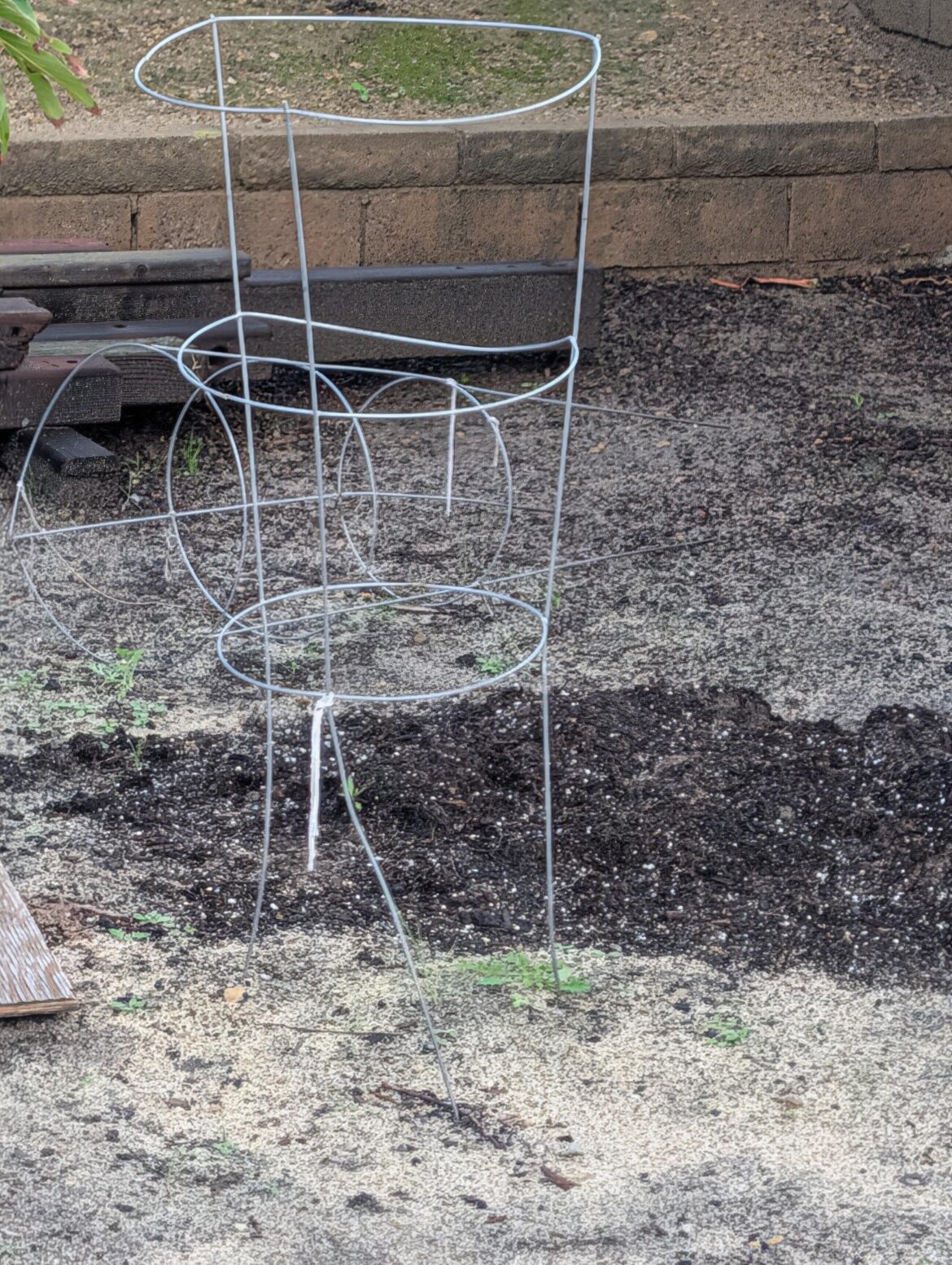 Will this tomato cage work for beans?