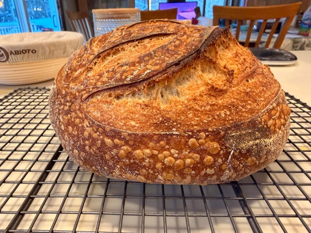 Feedback Please! Loaf#5