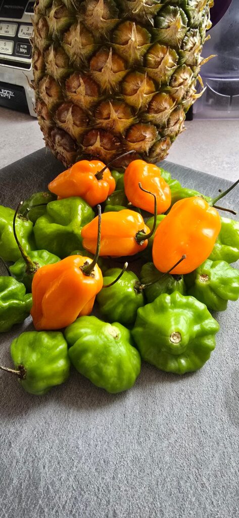 Green scotch bonnet, habanero, and pineapple 🍍 -> 🔥