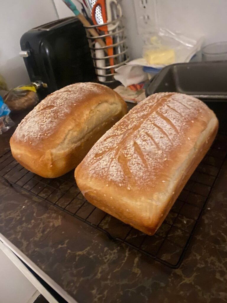 First loaves post homelessness