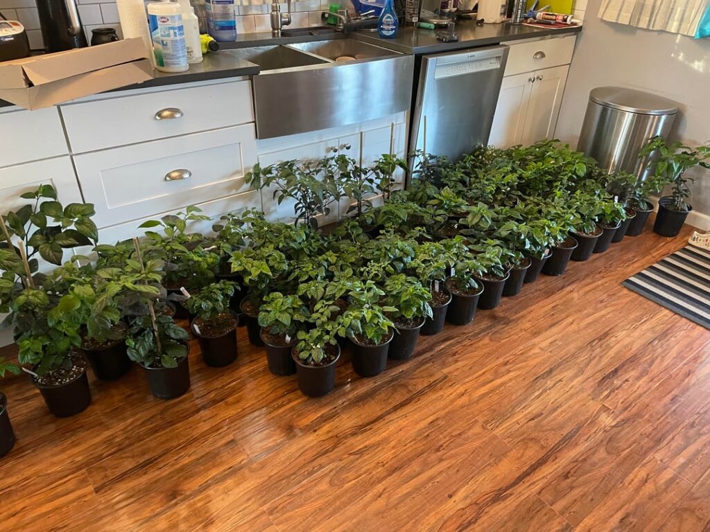 Finally had to move out of the house