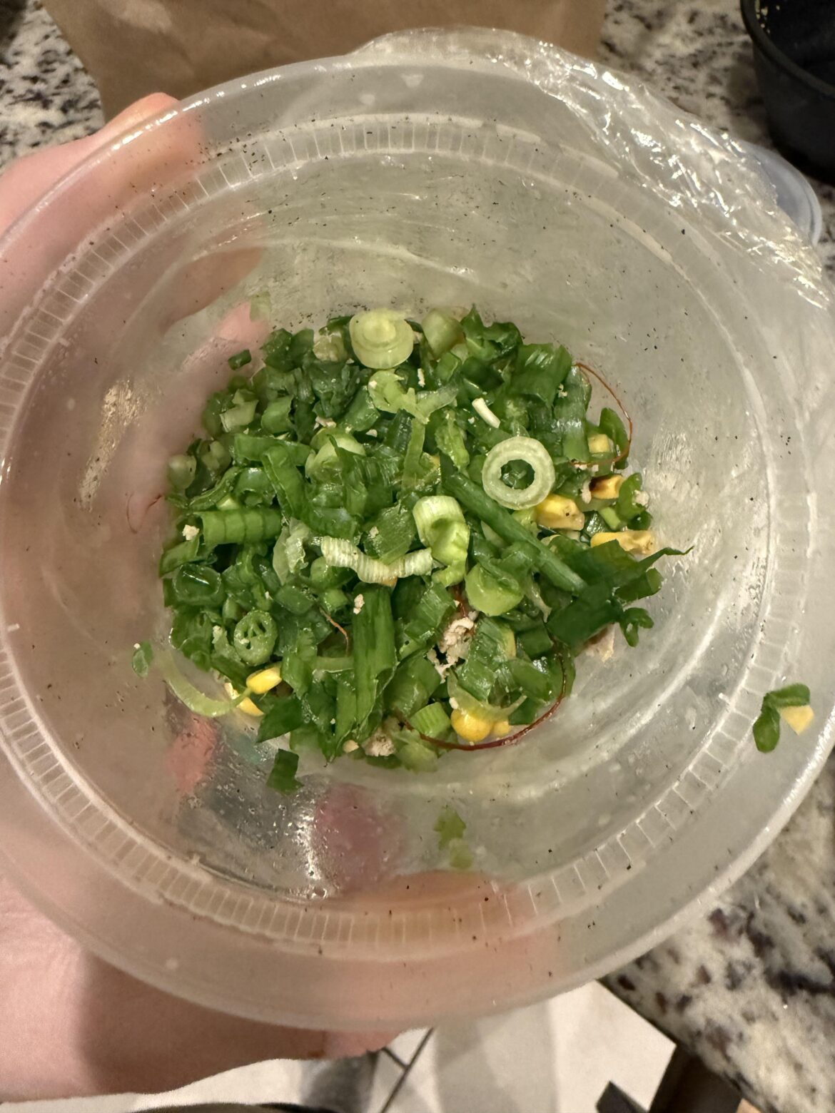 Green Onion WTF @ Ramen Tatsuya.