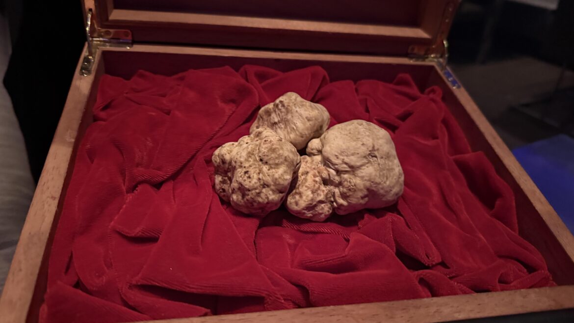 What Restaurants Are currently Serving Truffles?