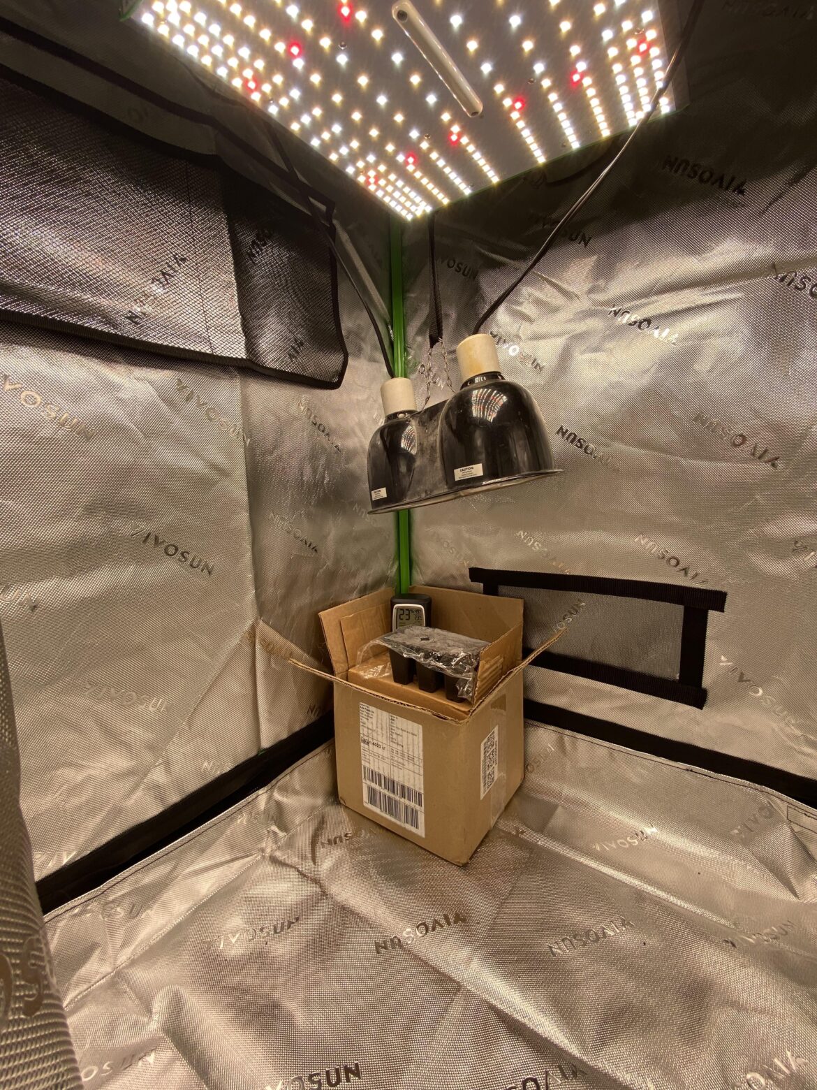 Pepper seedlings during winter storm?