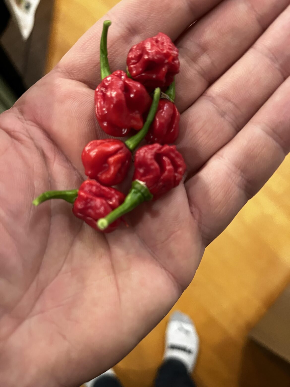 Mini Carolina Reaper Pods