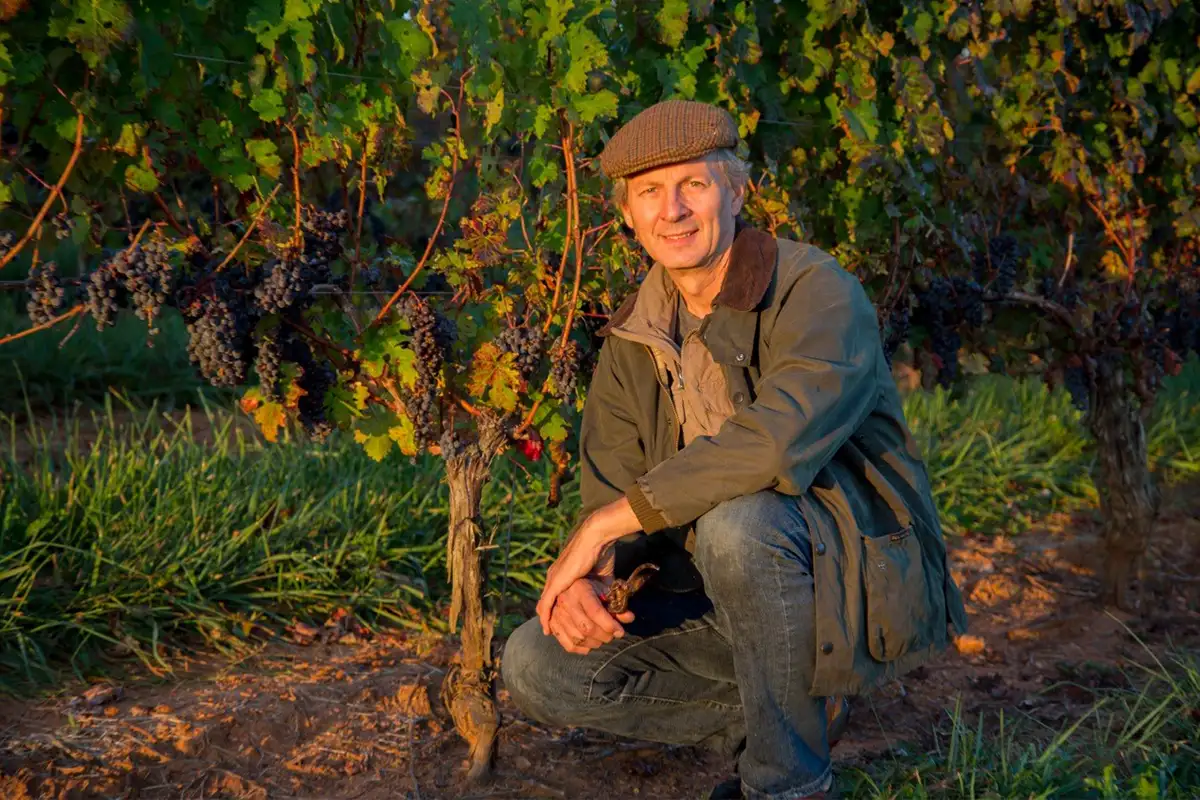 Barboursville Vineyards winemaker Luca Paschina poses in front of grape vines at the winery