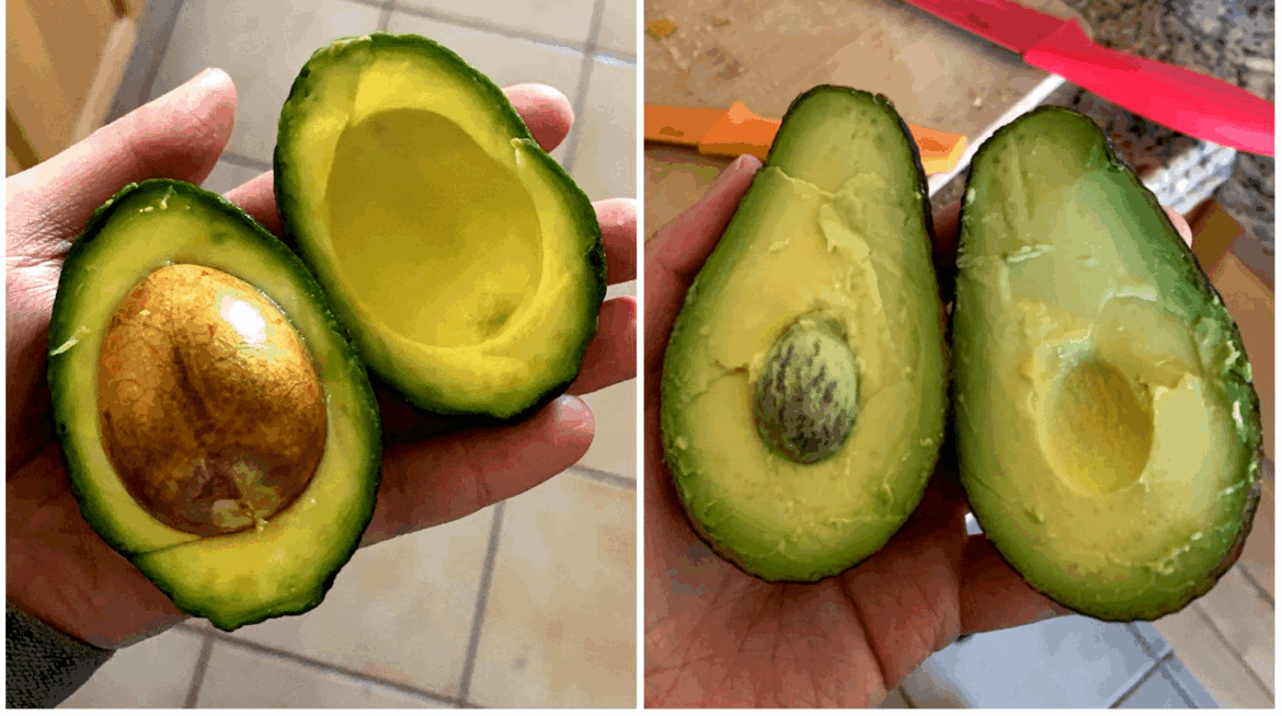 These avocados taught me a life lesson... some days are luckier than others, but at the end of the day, be grateful you got to eat that avocado.