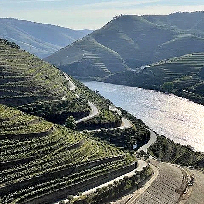  "The wines from the Dão region have been called the Burgundies of Portugal." 