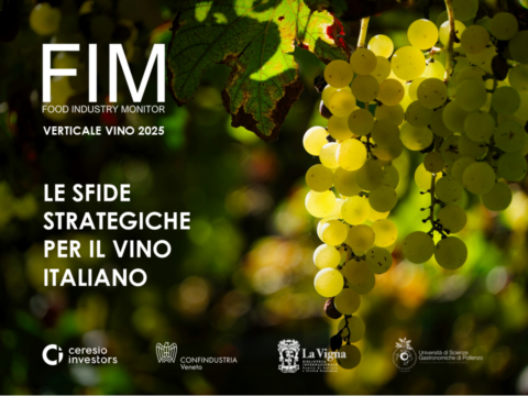 Italian wine: where are we now?