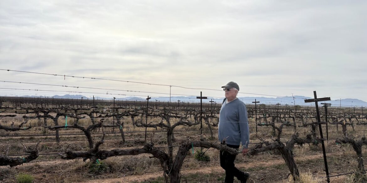 Vineyard Owner plans to retire after changing Arizona wine-making