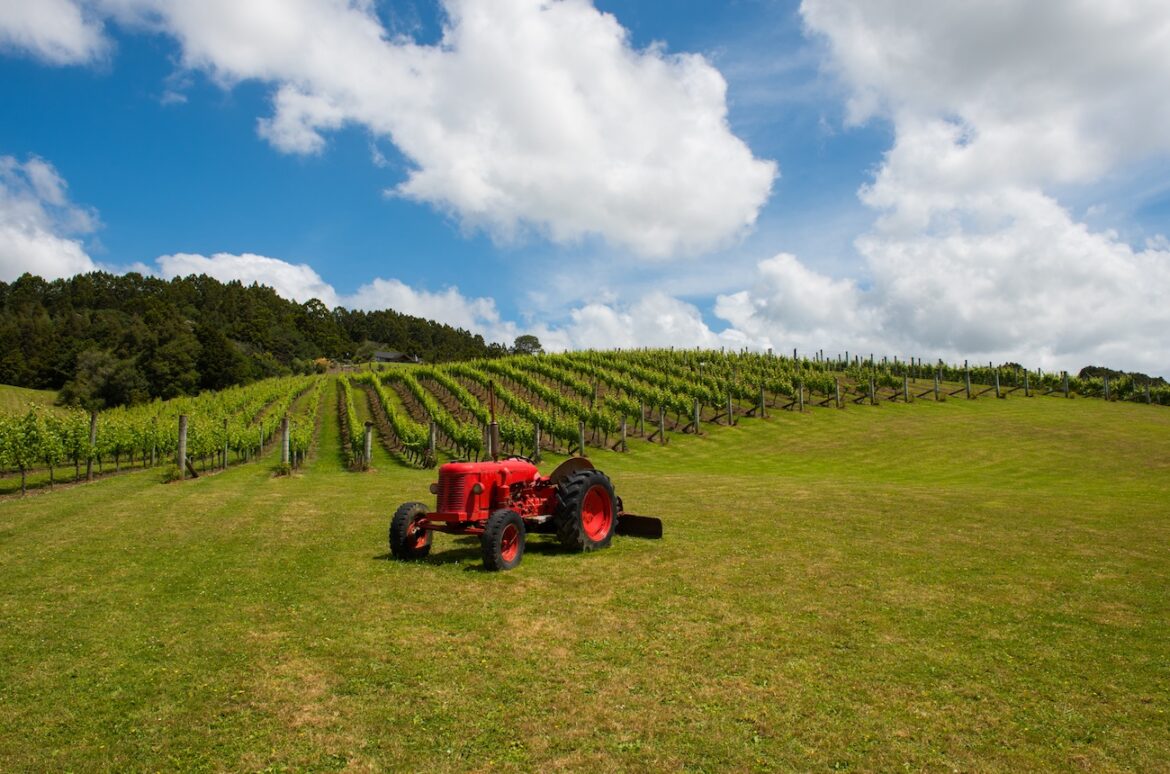 Wines of the Year 2025: Australia, New Zealand & South Africa