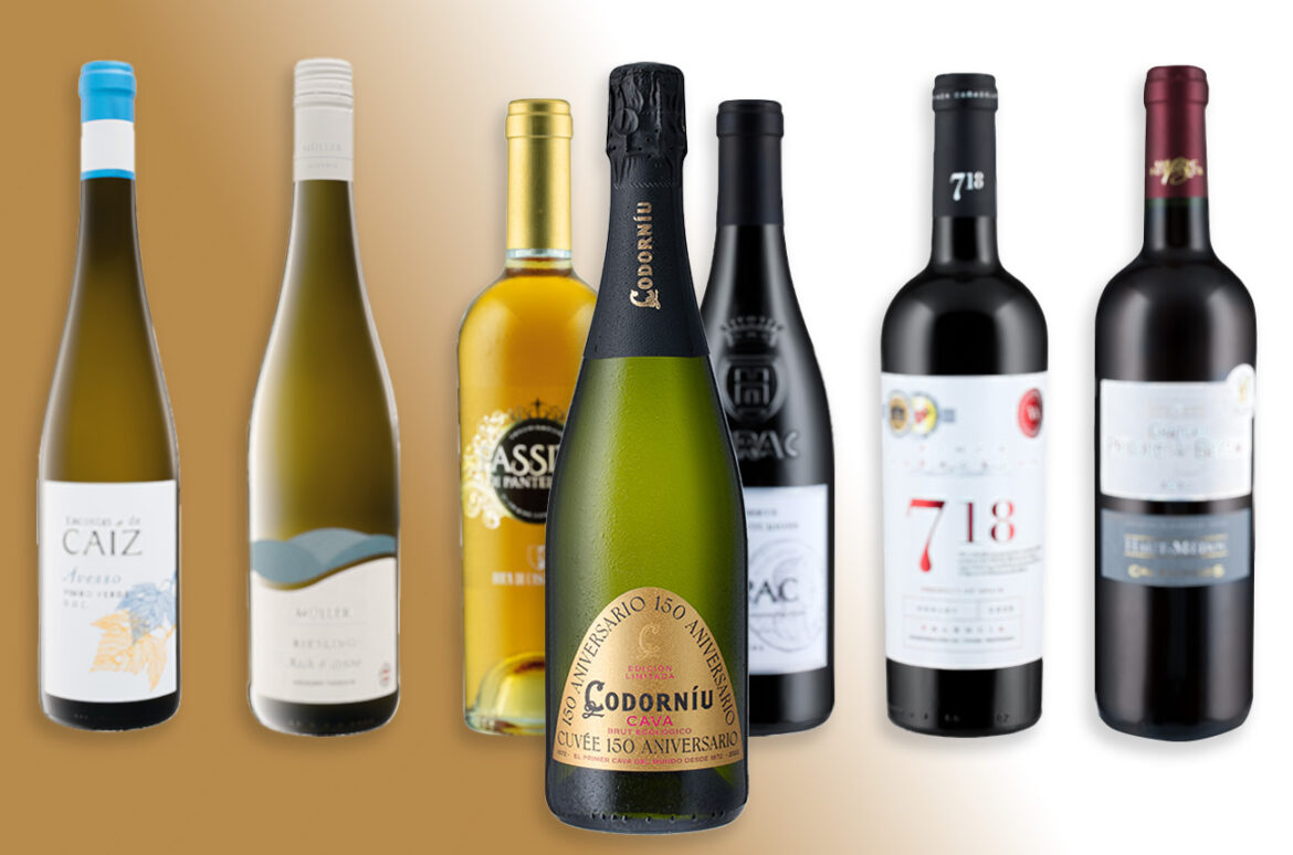 Lidl's unique wine selection: 10 affordable bottles to try now