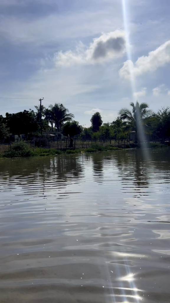 Grilled Fish…as fresh as it gets