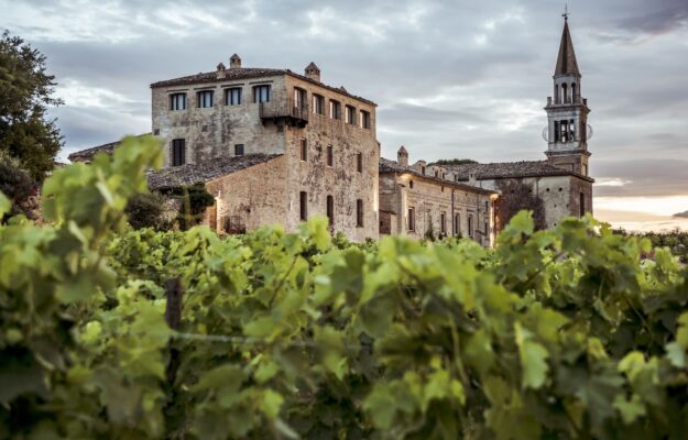 New entry in the sign of excellence: the Abruzzi historical winery Masciarelli joins Altagamma New entry in the sign of excellence: the Abruzzi historical winery Masciarelli joins Altagamma