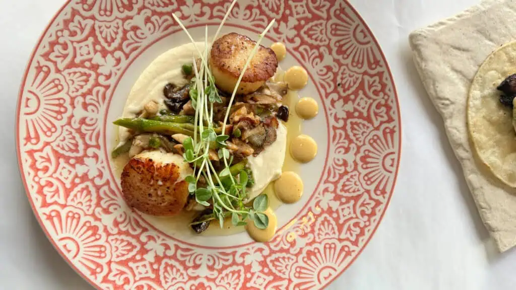 plate of scallops with green garnishments on top at Mise en Place