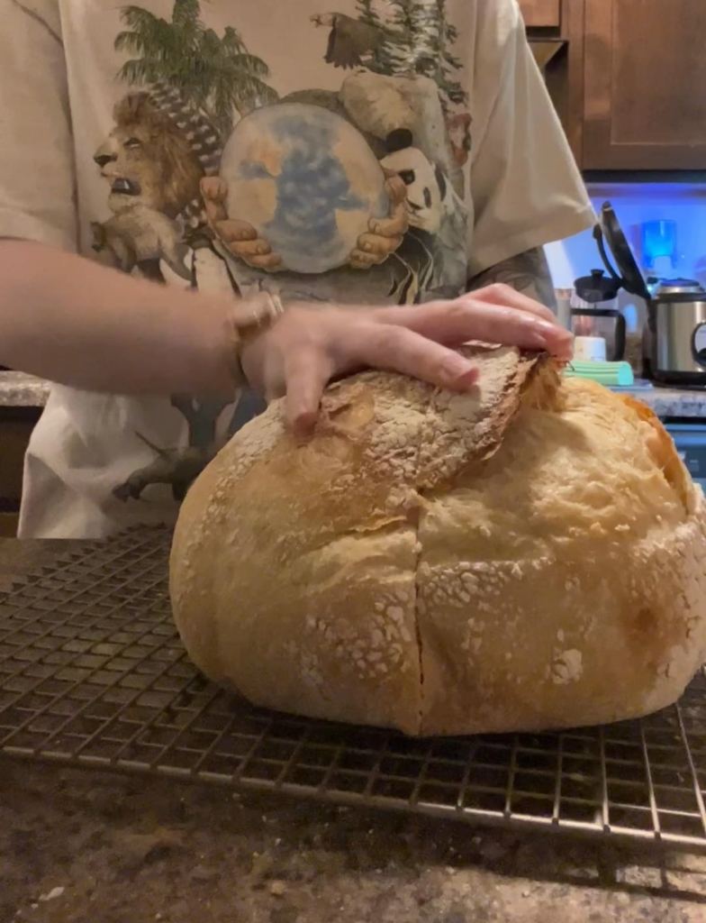 First loaf! Used my month old starter. Kinda wish it was more “sour” but I’m sure that will come with time