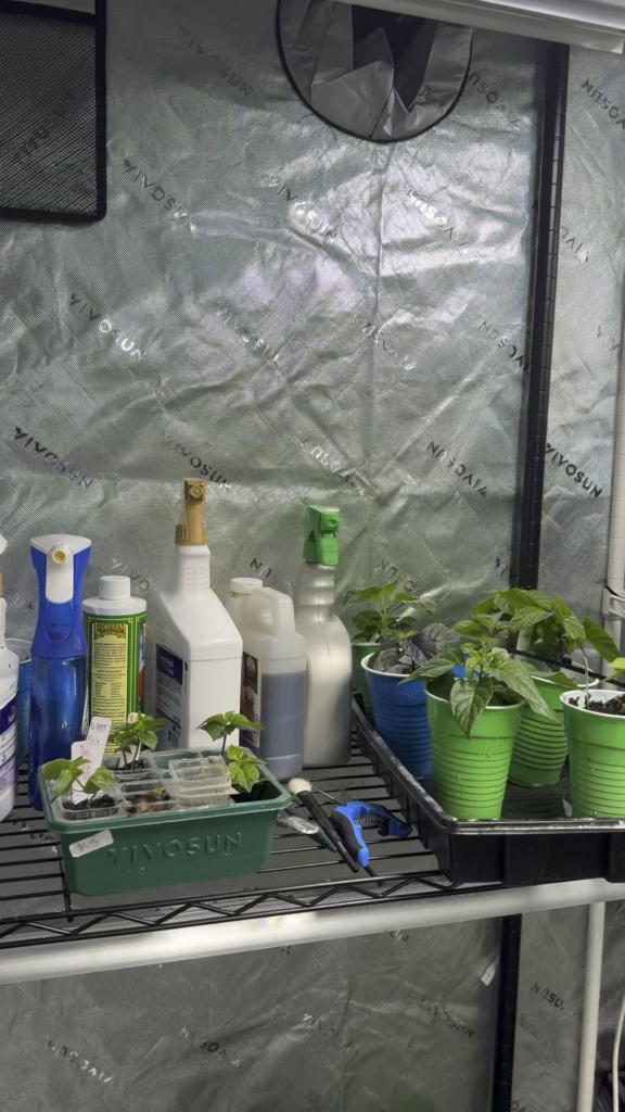 Anyone else become obsessed right out of the gate?