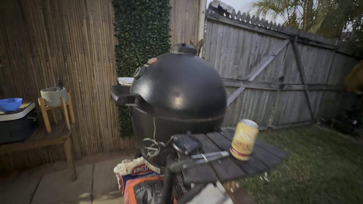 Couple of birds on a nice summer evening