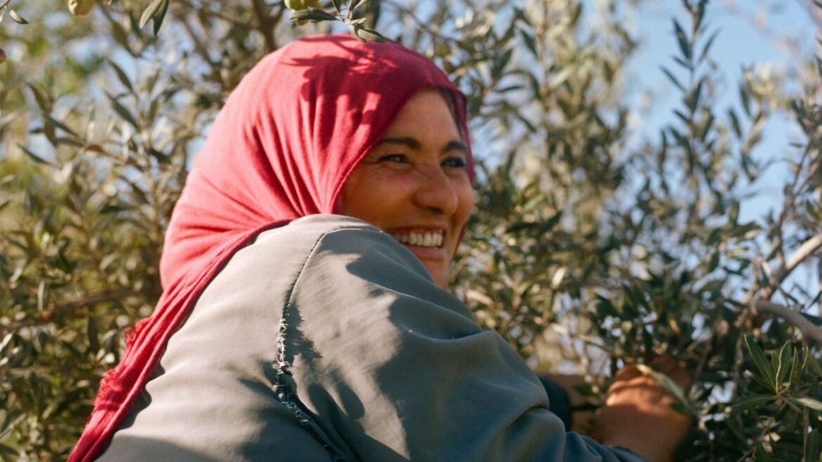 In Southern Tunisia, This Artist-Led Farm Is Using Olive Oil to Create Change In Southern Tunisia, This Artist-Led Farm Is Using Olive Oil to Create Change