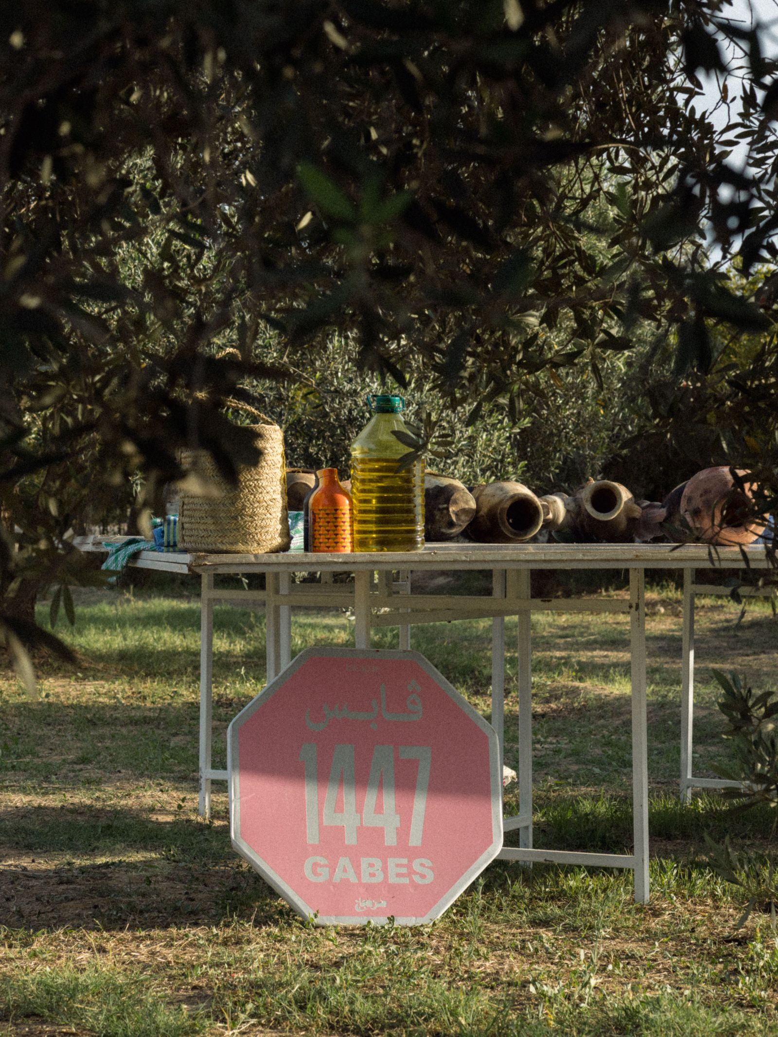 Image may contain Grass Nature Outdoors Park Plant Road Sign Sign Symbol Tree Vegetation and Play Area