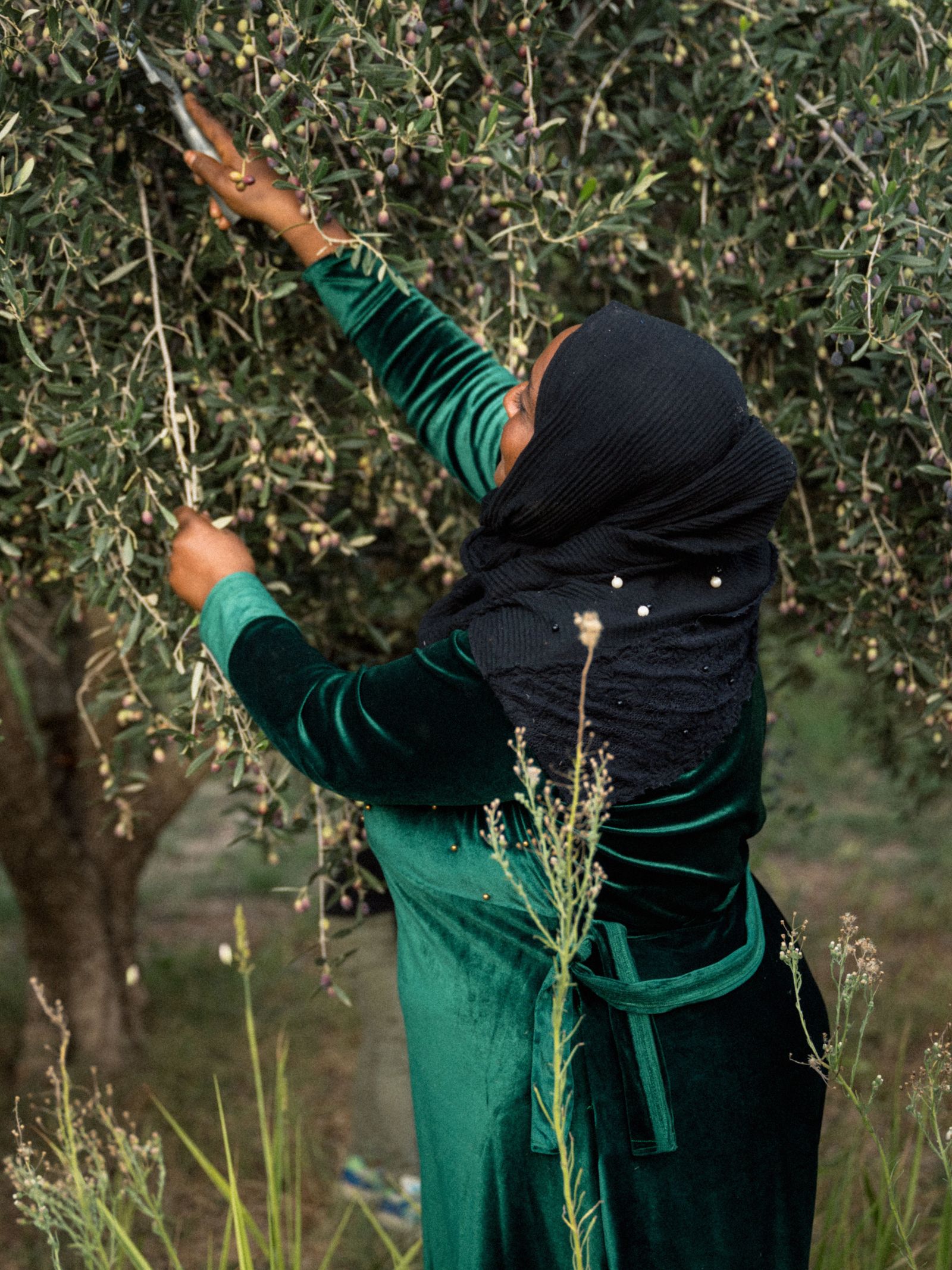 Image may contain Adult Person Outdoors Nature Plant Vegetation Garden Field Face and Head