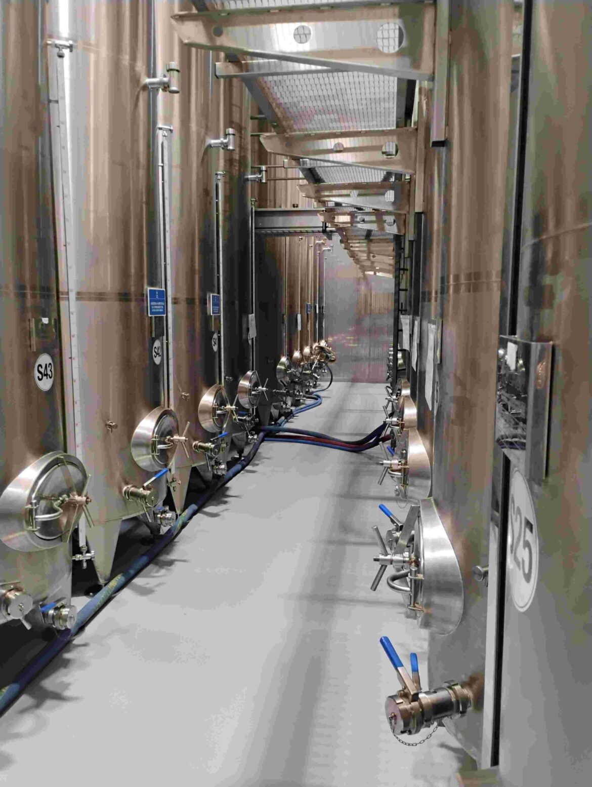 We have 276 tons of olive oil in stock, here’s where We have 276 tons of olive oil in stock, here's where