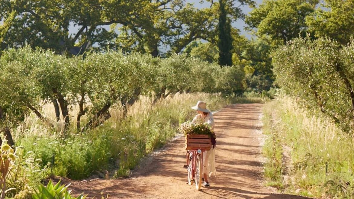 Condé Nast Traveller