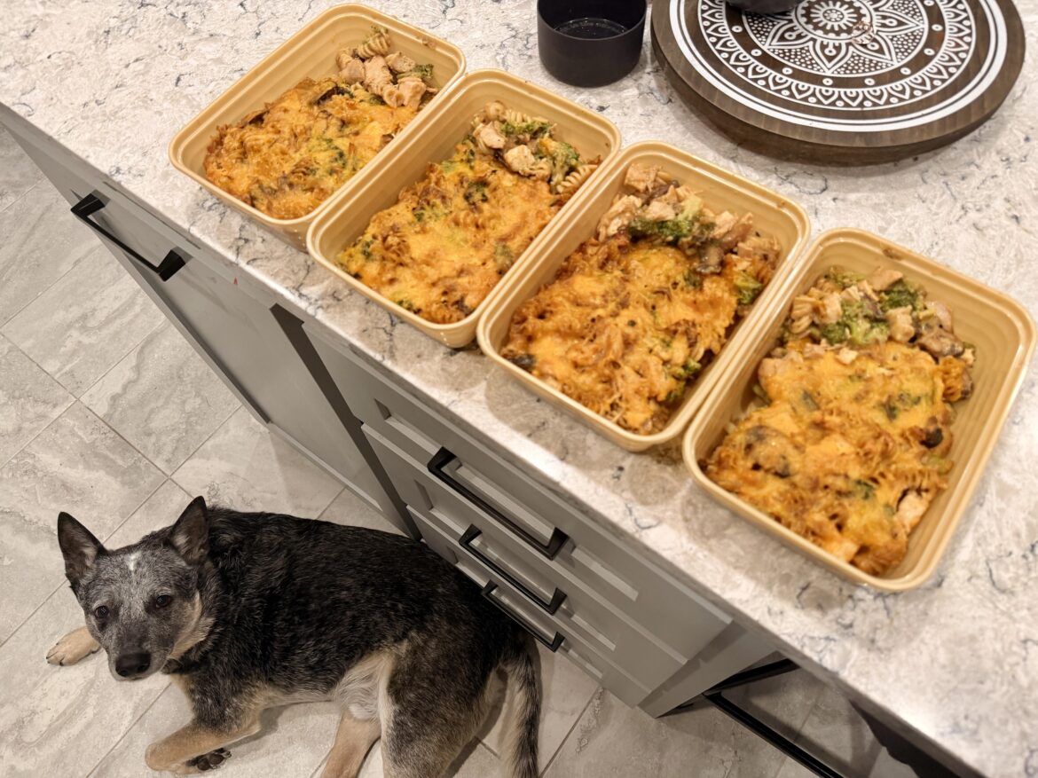 Chicken broccoli casserole for two!