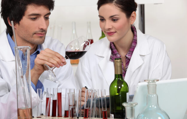 “Polo Vitivinicolo del Triveneto” arises, an innovative model for wine traceability News