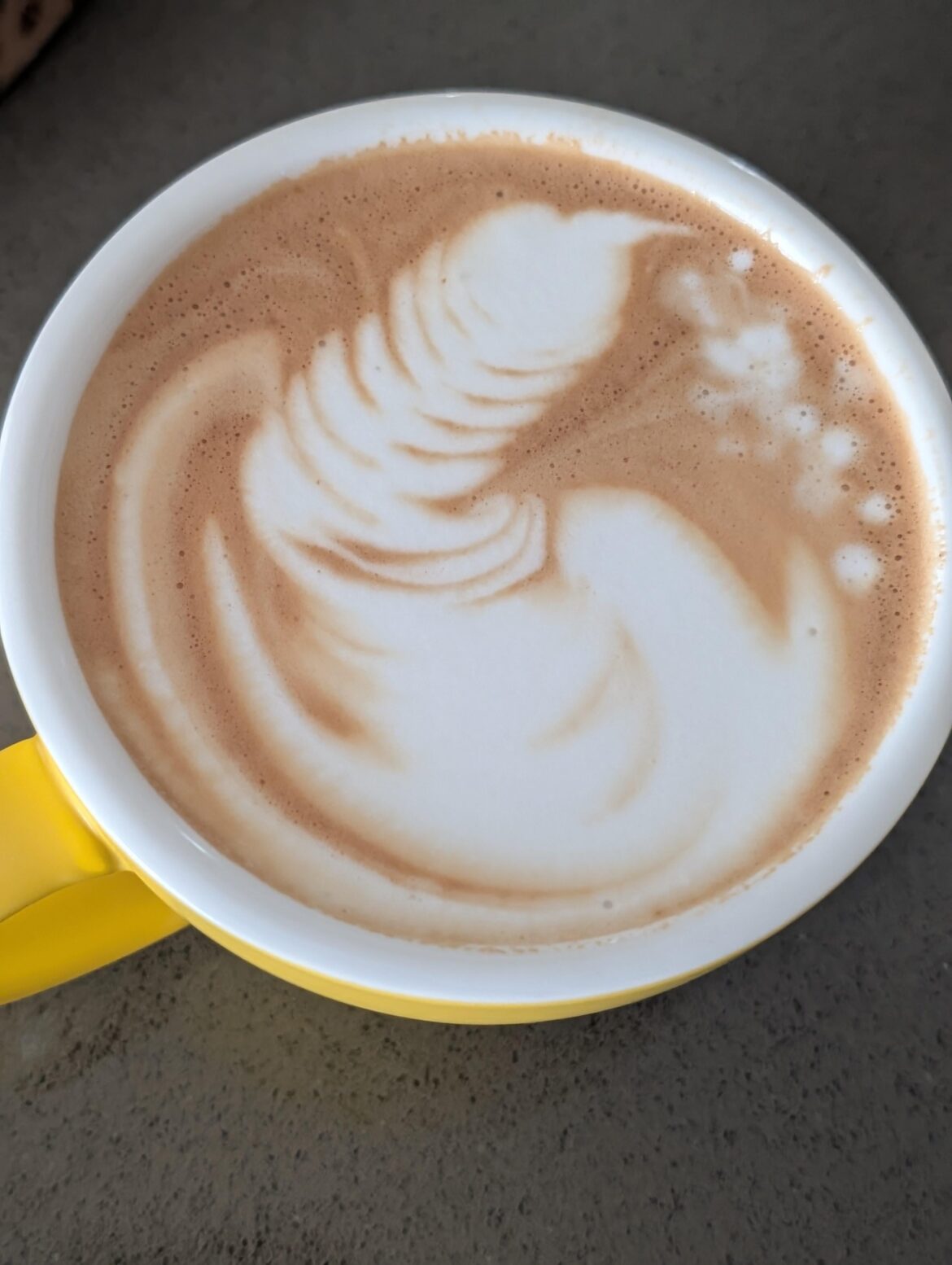 Rate my Ejaculatte