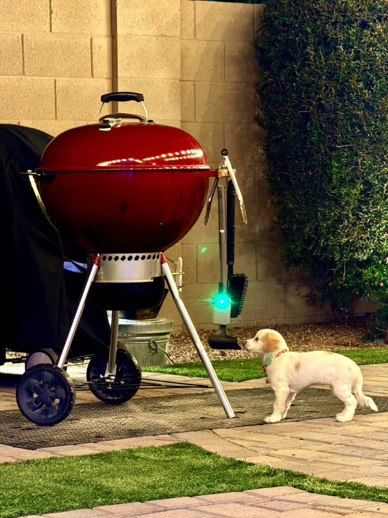 Had to post as I use my new grilling buddies…