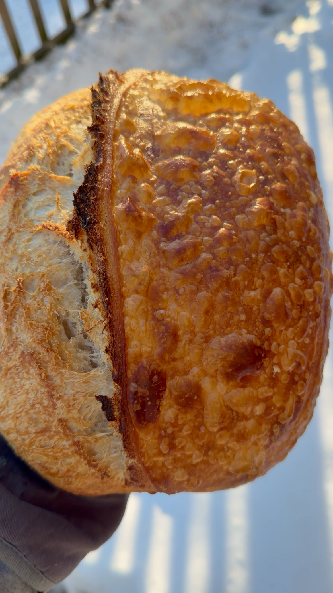 Look at all the bubbles on this sourdough i made!