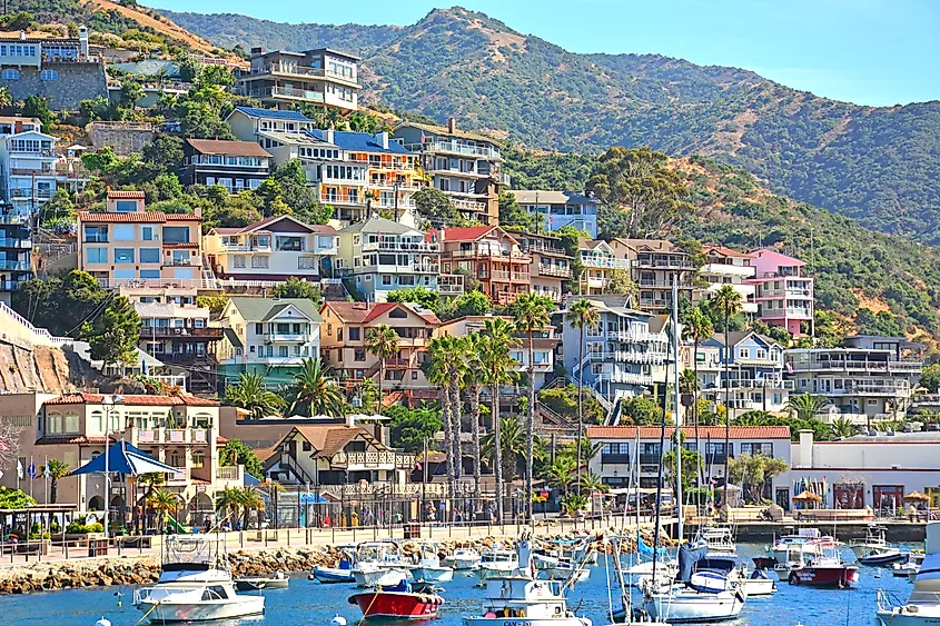 Avalon, California.