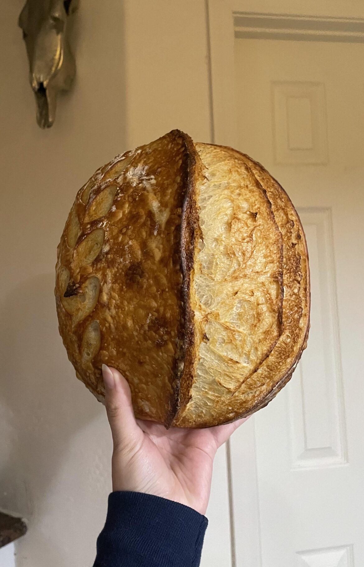 Just need to brag real quick