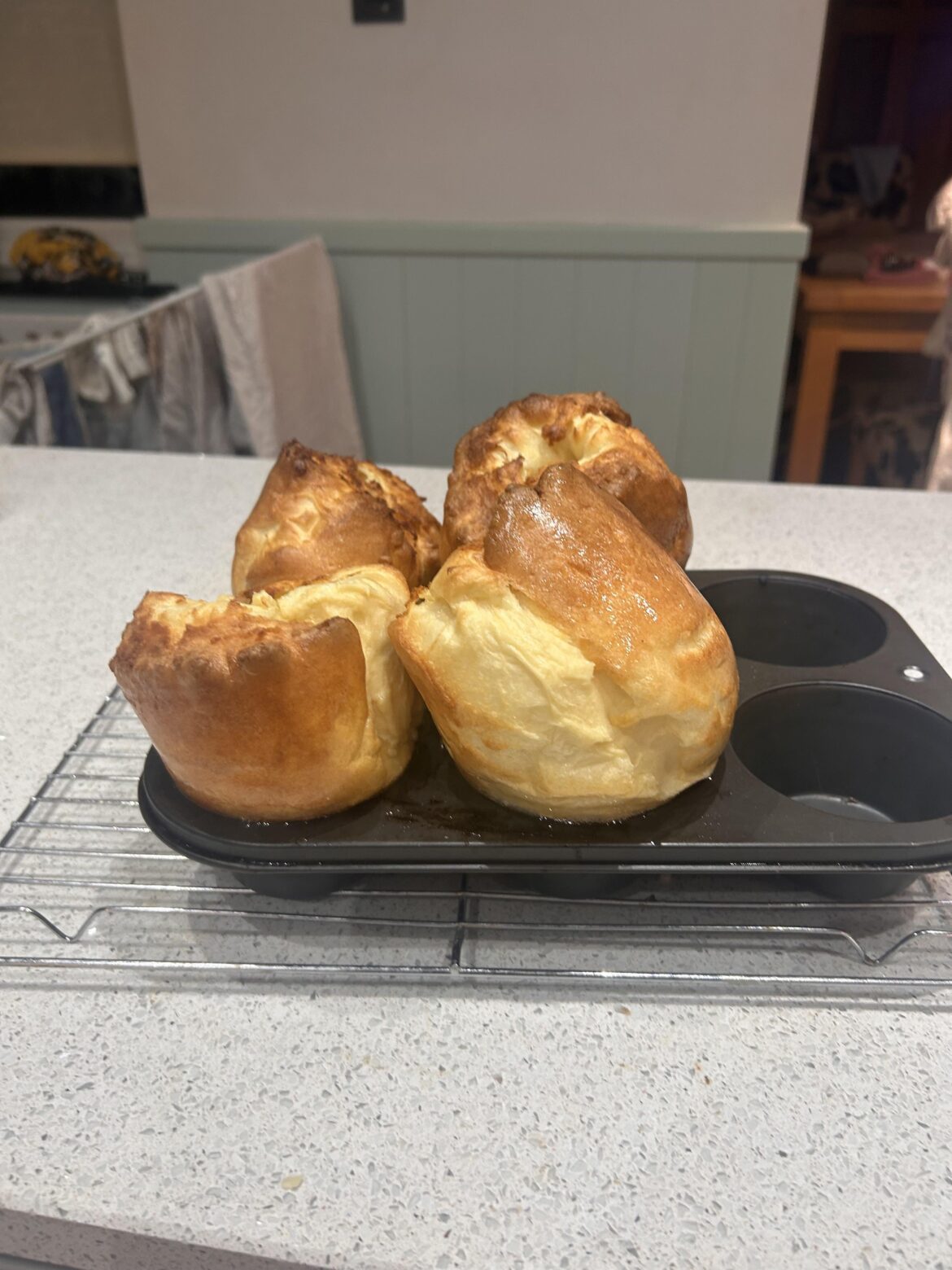 Seasoning yorkies