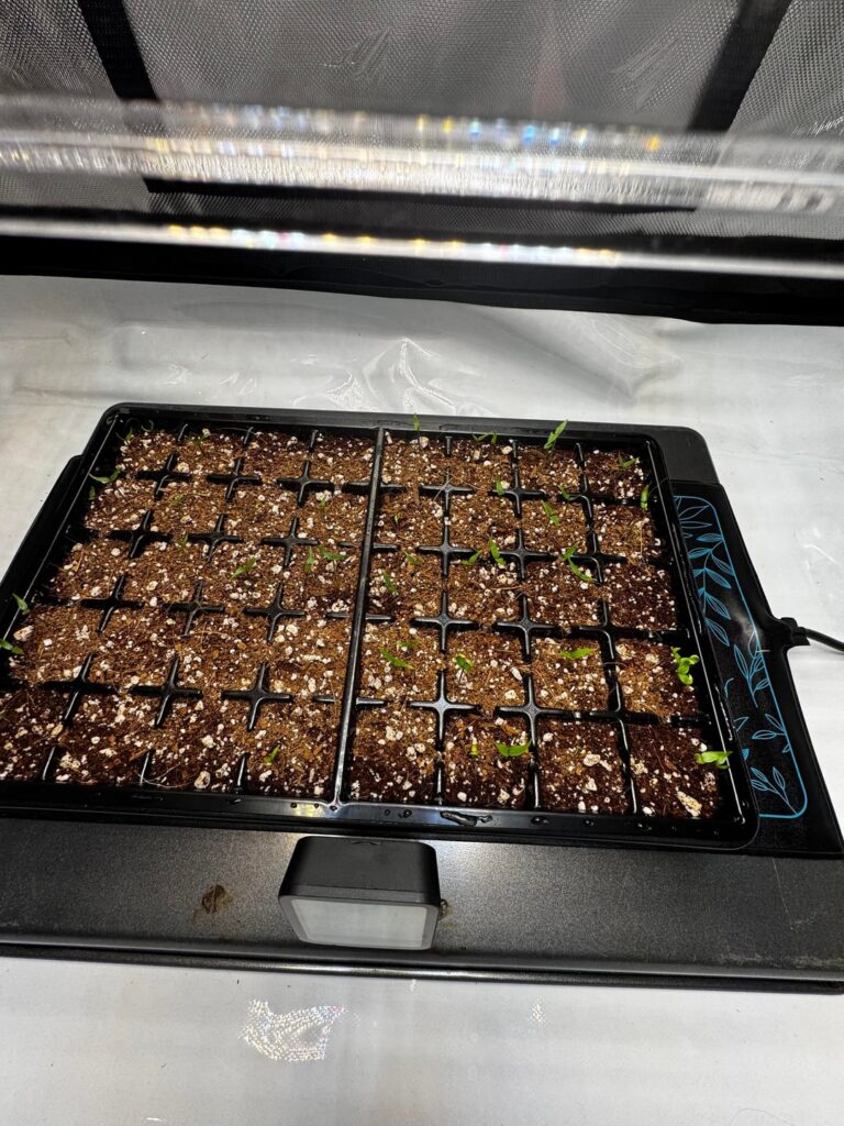 Am I on the right track?