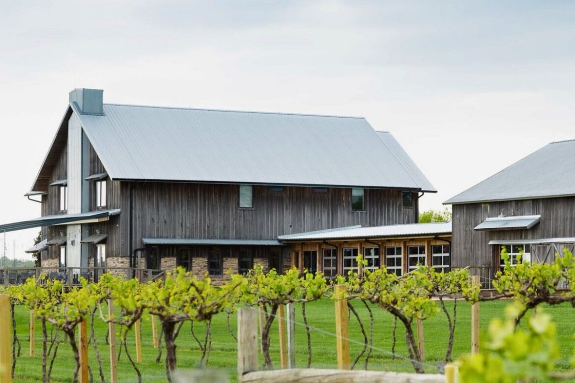 The Hidden Mushroom Farm Beneath This Kentucky Winery