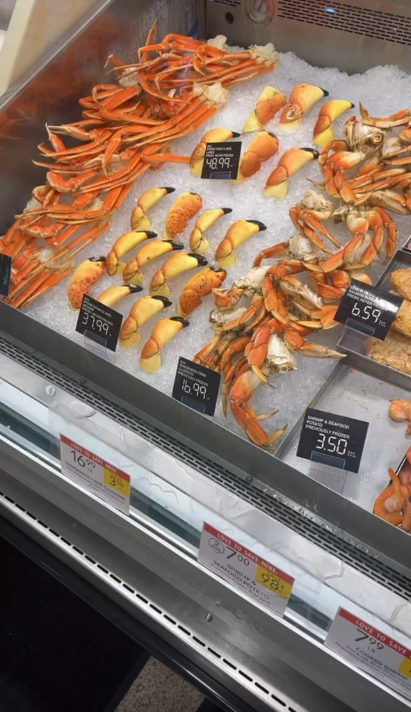 Which one would you pick?