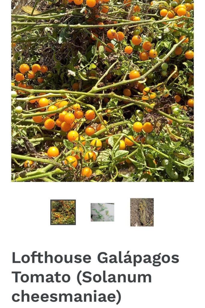 Looking to add these varieties to my garden this year