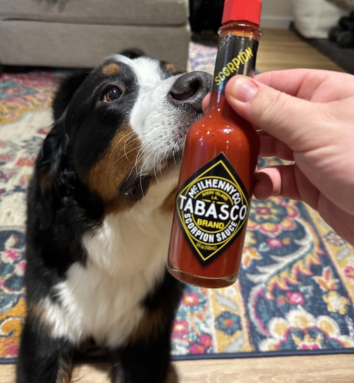 The spice level and the FLAVOR are fantastic!